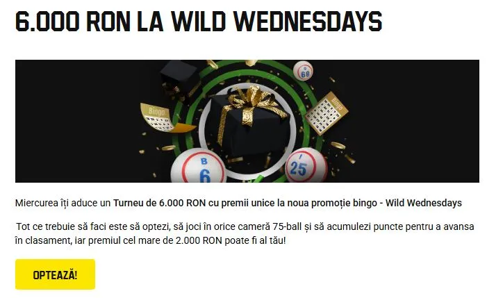 Promoții și oferte speciale pentru jocurile de Bingo