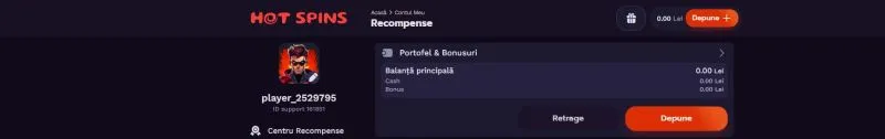 Sectiunea contul meu la Hot Spins Casino