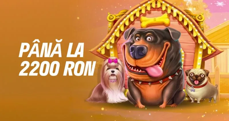 12xBet Casino ofertă bun venit