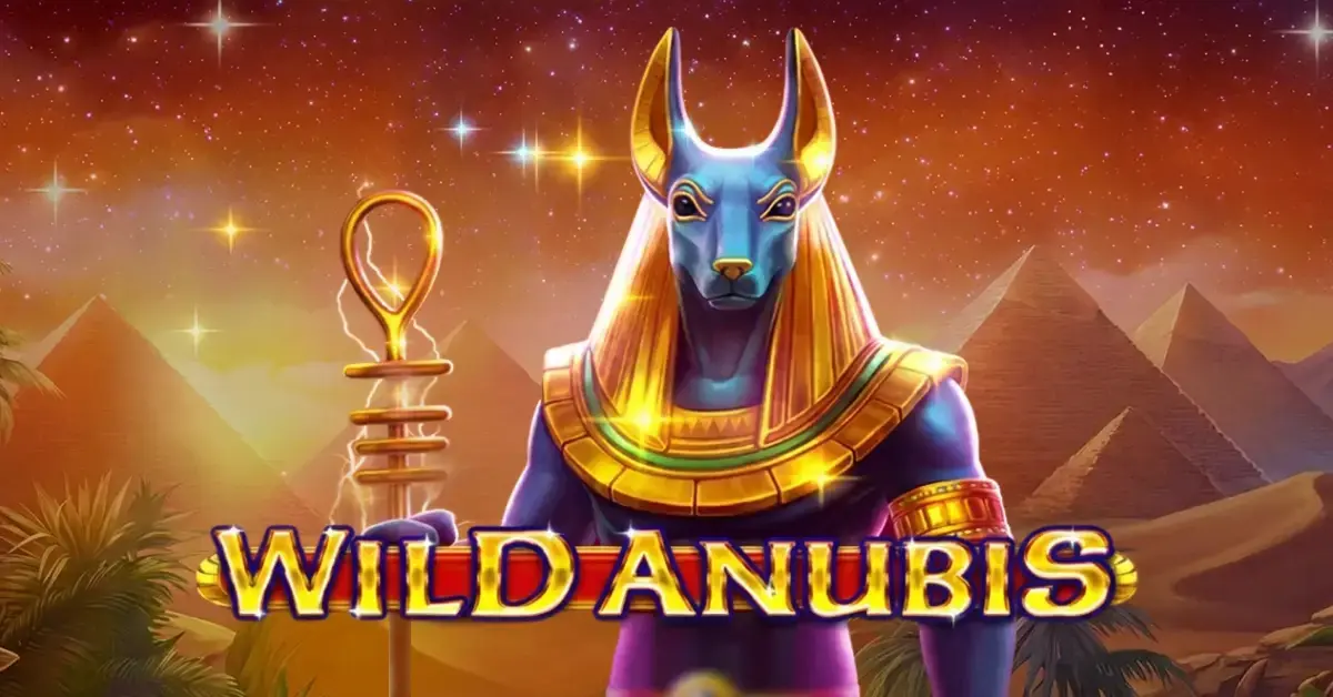 Wild Anubis