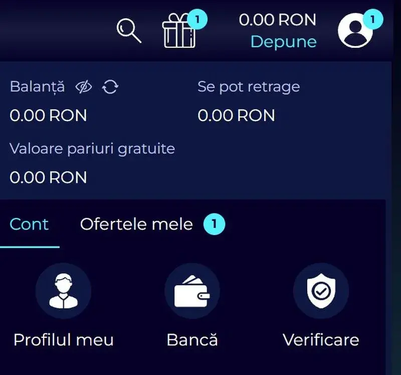 Sectiunea contul meu la Prowin Casino